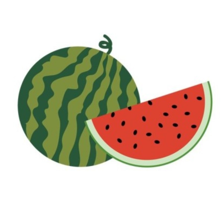 겨울수박 프로필