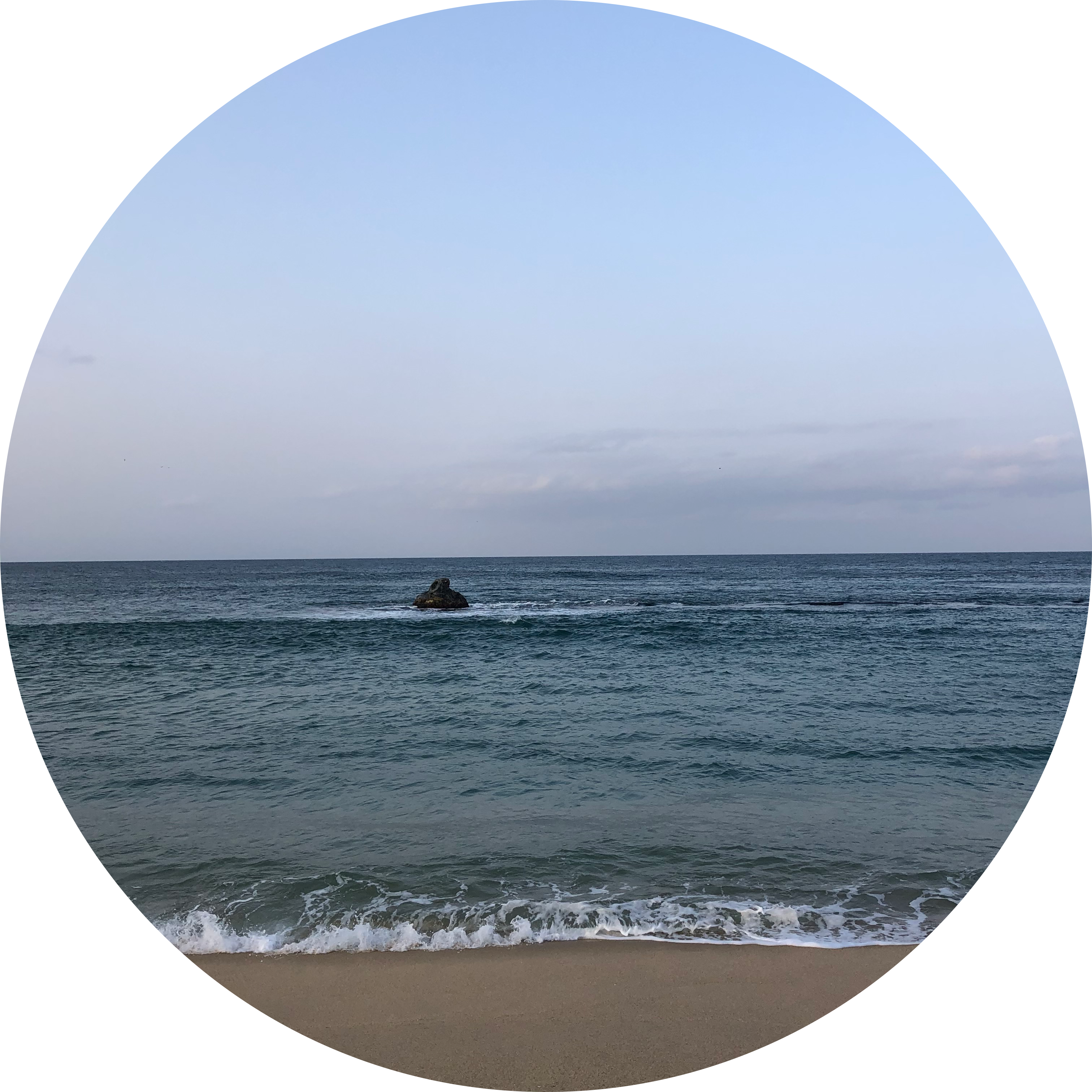 써니용용용 프로필