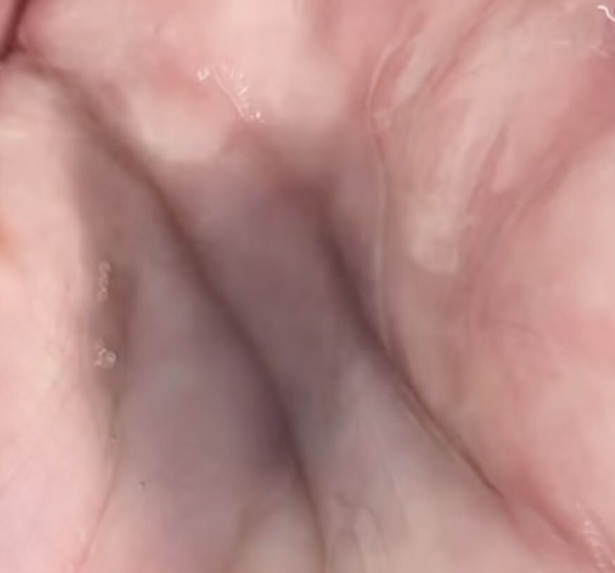 블랙 화산송이 파하 모공 클렌징 오일 이미지 1