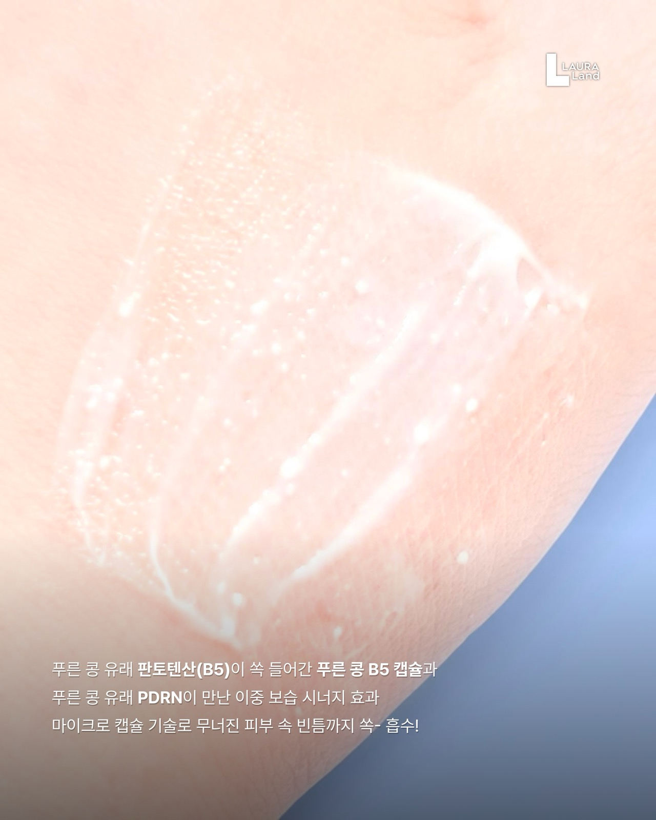 블루빈 B5 PDRN 마일드 로션 이미지 3