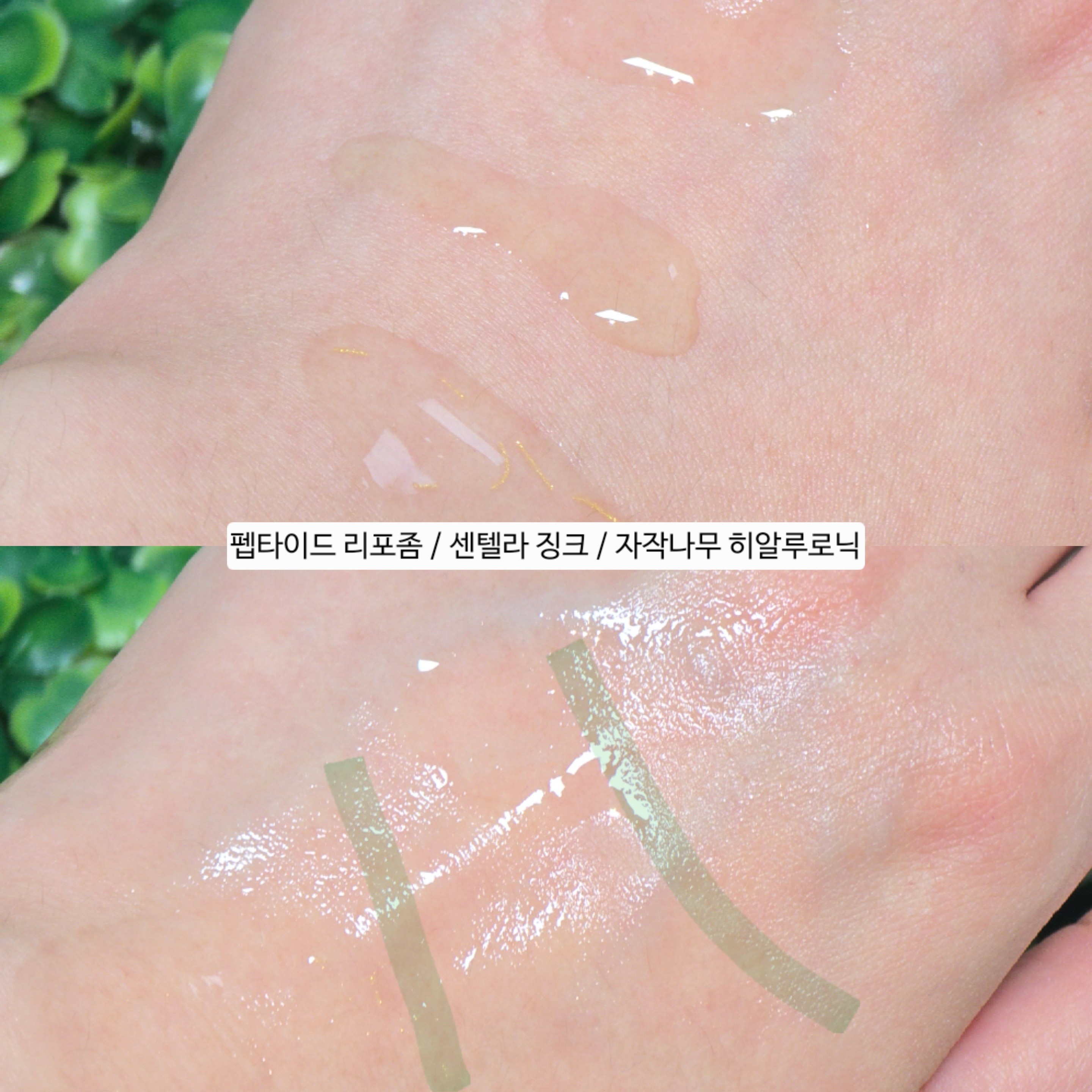 센텔라 징크 앰플 이미지 2