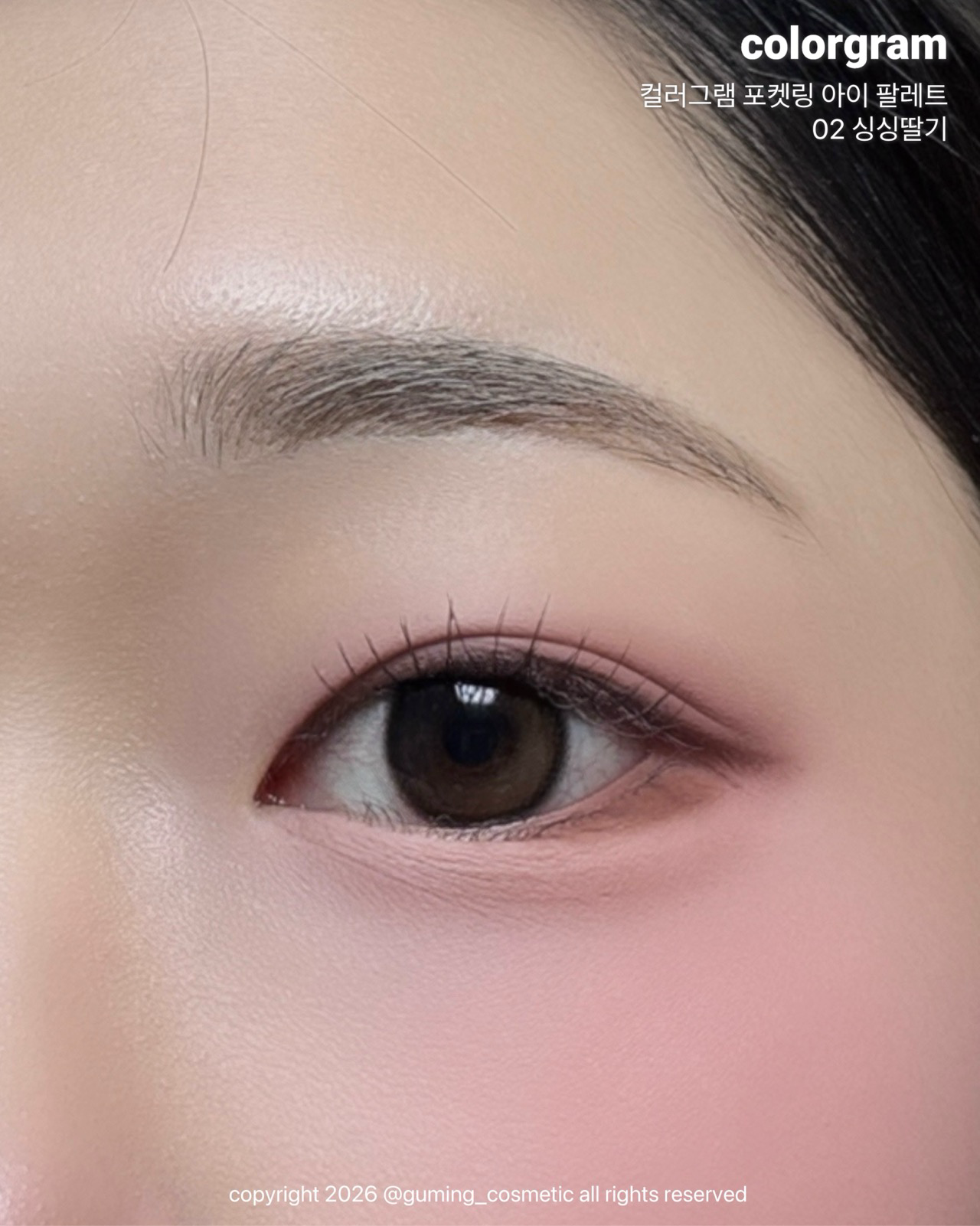 (포켓몬 에디션) 포켓링 아이 팔레트 이미지 2
