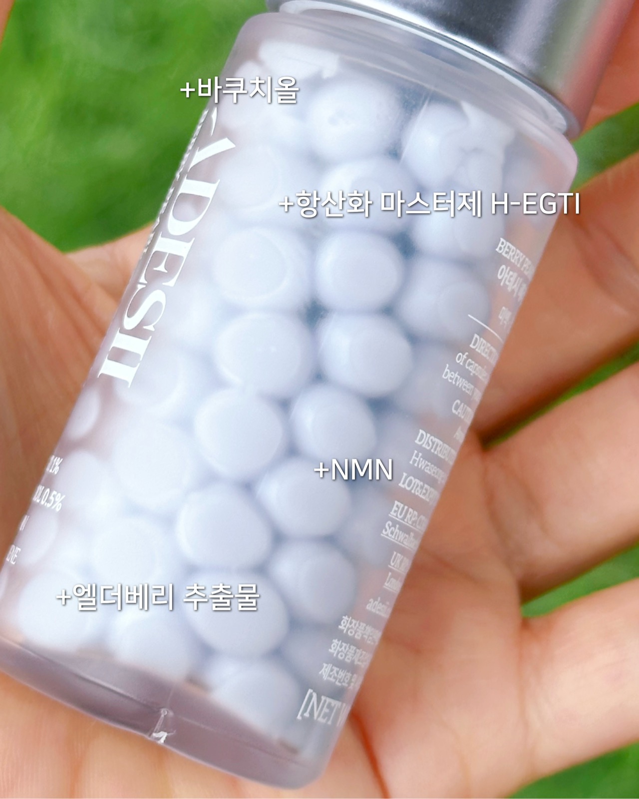 베리 펄 바쿠치올 네오 크림 이미지 4