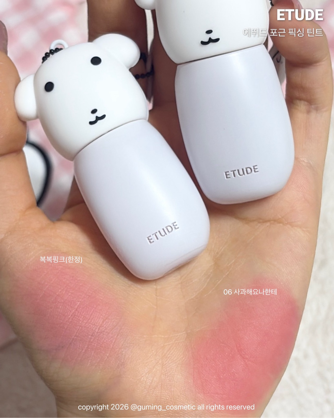 (에뛰드X가나디) 포근 픽싱 틴트 이미지 1