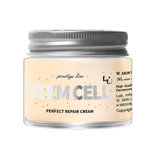 W.피부연구소 브랜드의 제품 줄기세포 리페어 크림